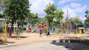 BISP Primary Principal playground school reopening 2020